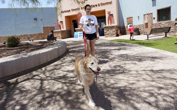 Rori Chang, of Glendale, Ariz., walks with her dog Ava as they leave the Maricopa Country Animal Care & Control facility after Ava was microchipped on June 30, 2023, in Phoenix. As most people look forward to July Fourth celebrations, those with pets are searching for solutions to the anxiety that fireworks bring. Chang had Ava microchipped in case she ran away.