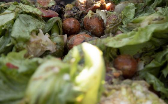 Vegetable discards from base dining facilities are layered in a composting bin during a live demonstration October 9, 2020 on Camp Arifjan, Kuwait. The discards were collected from pre-plated food gathered to support basewide waste reduction through composting. (U.S. Army Reserve photo by Sgt. Khylee Woodford)